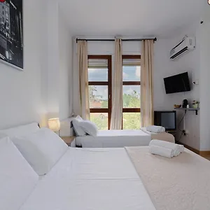 Elegance Bolonia